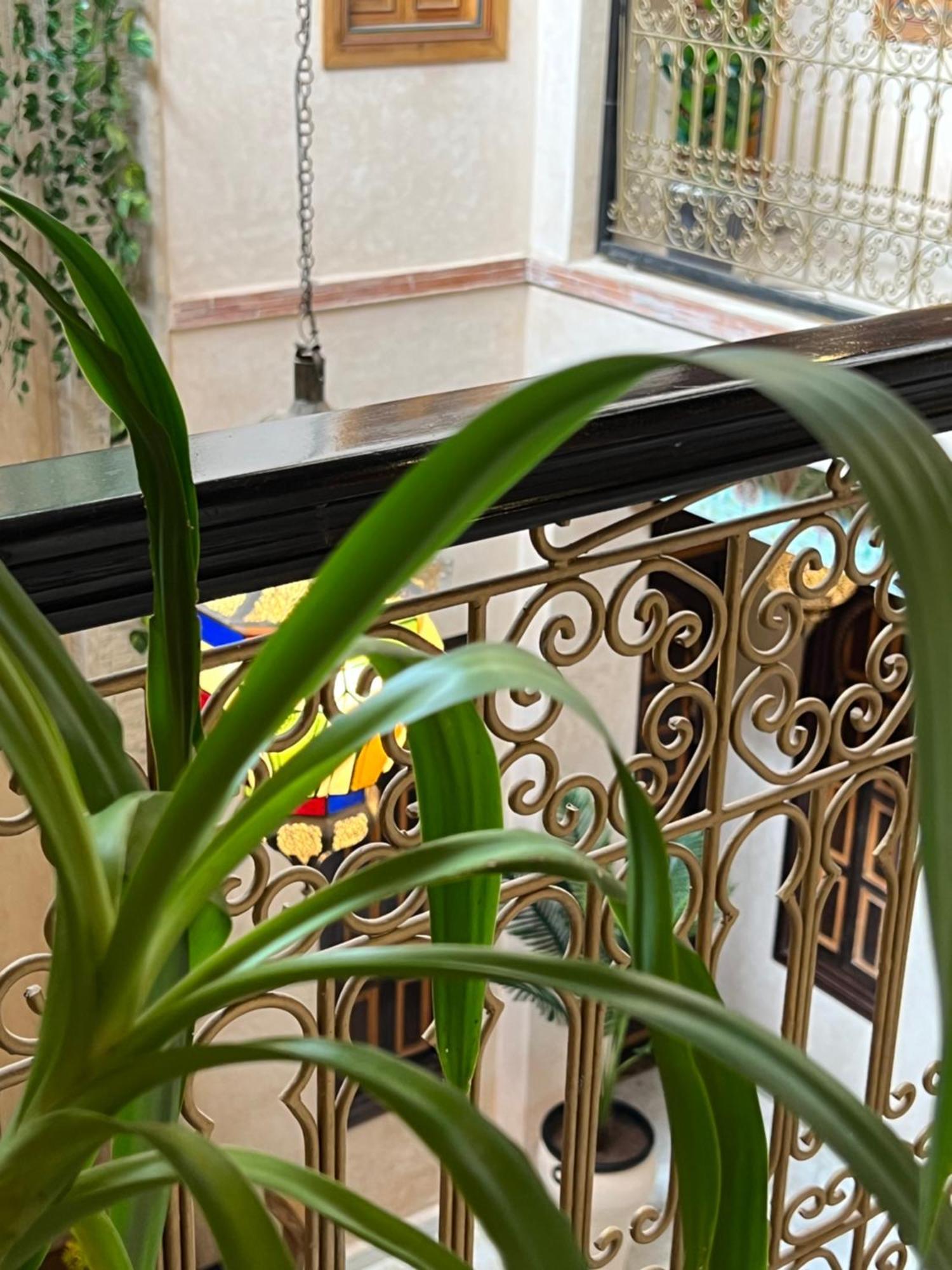 Riad Alice Terrace & Spa 마라케시 외부 사진